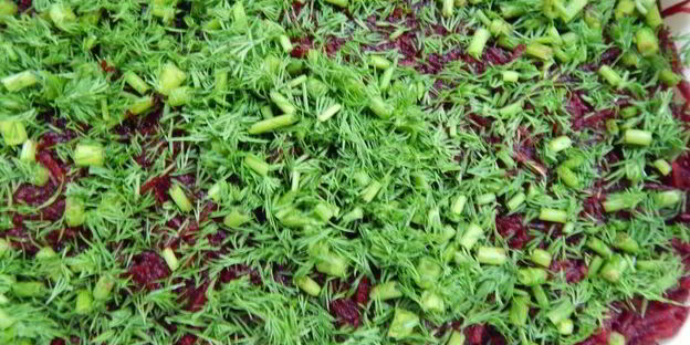 свекольный гравлакс — малосольный лосось