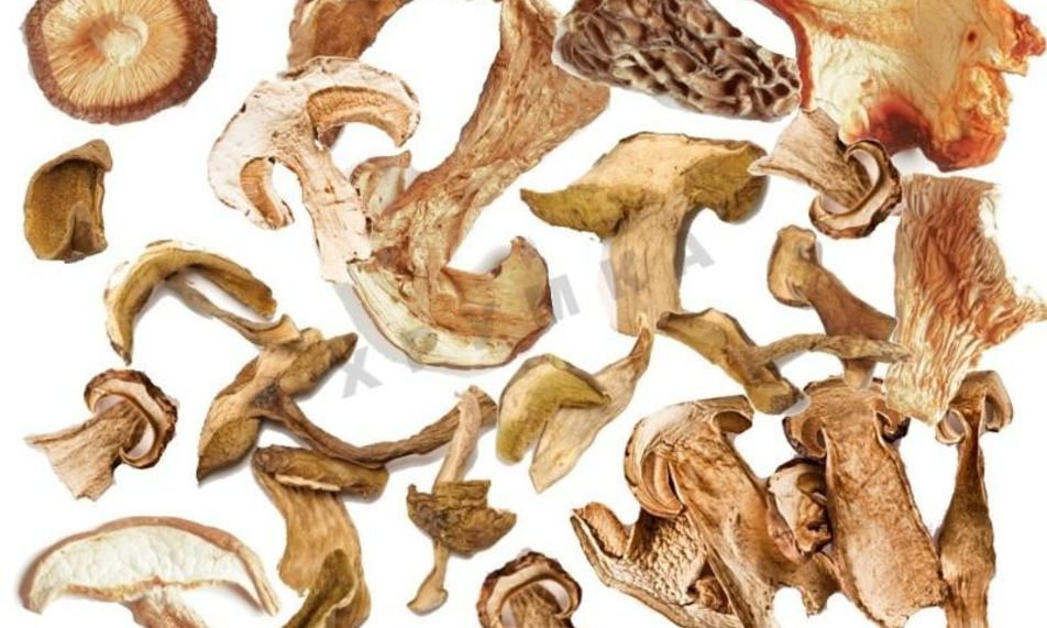 Рецепт сушки грибова в духовке