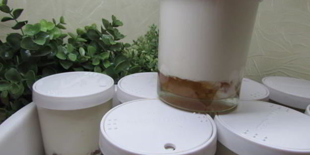 йогурт с вареньем