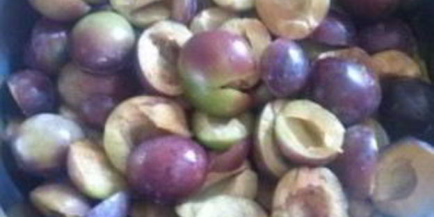 сливовое варенье