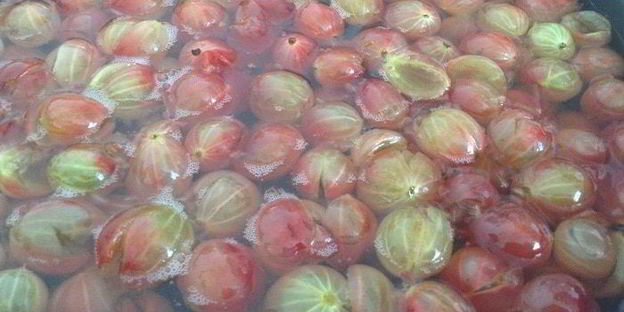 царское варенье из крыжовника