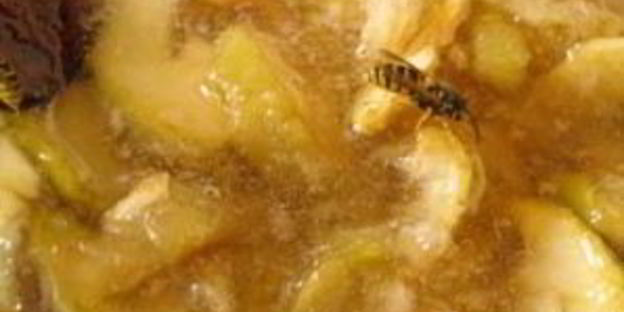 варенье из антоновки