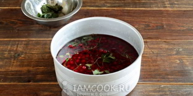 варенье из красной смородины 5-минутка