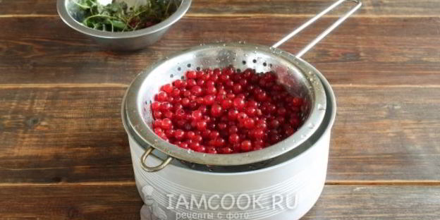 варенье из красной смородины 5-минутка