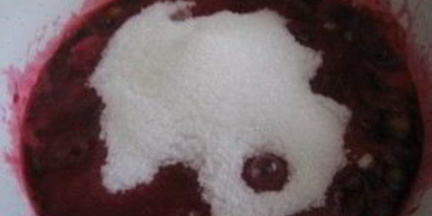 варенье из крыжовника густое