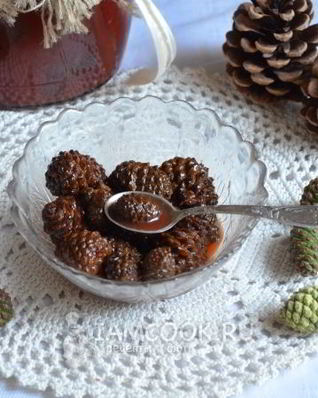 Варенье из молодых сосновых шишек