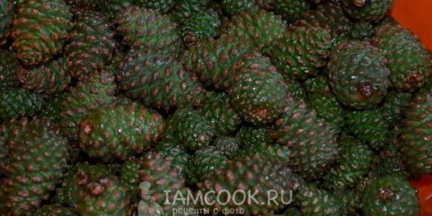 варенье из молодых сосновых шишек