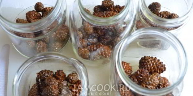 варенье из молодых сосновых шишек