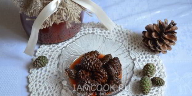 варенье из молодых сосновых шишек