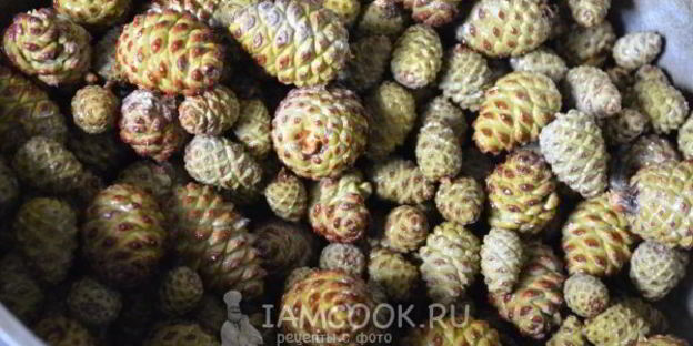 варенье из молодых сосновых шишек
