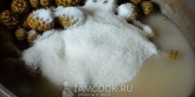 варенье из молодых сосновых шишек