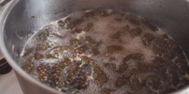 варенье из шишек