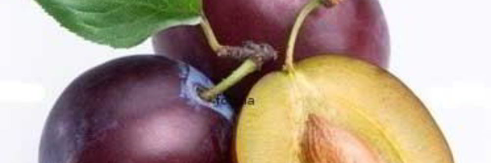 Варенье из слив