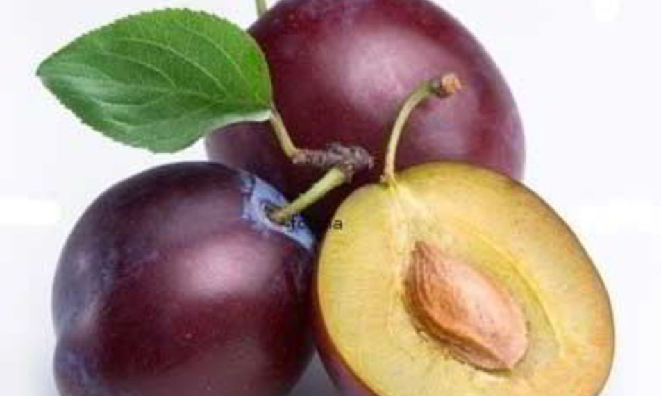 Рецепт варенья из слив