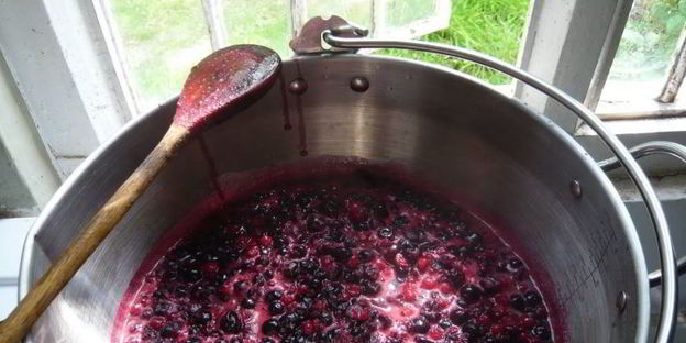 варенье-пятиминутка из смородины на зиму