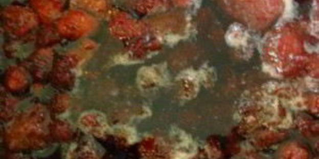 земляничное варенье-пятиминутка