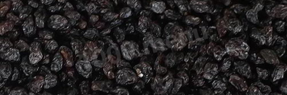 Заготовка аронии