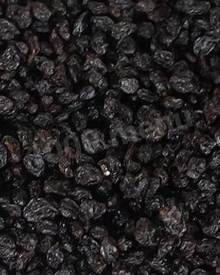 Заготовка аронии