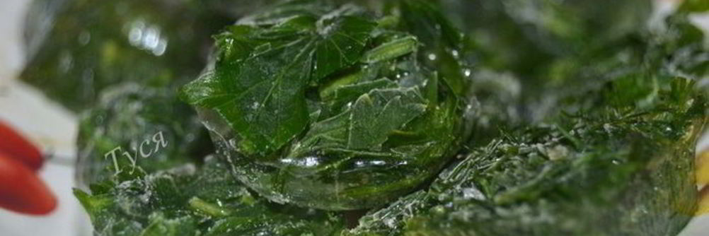 Заготовка зелени на зиму