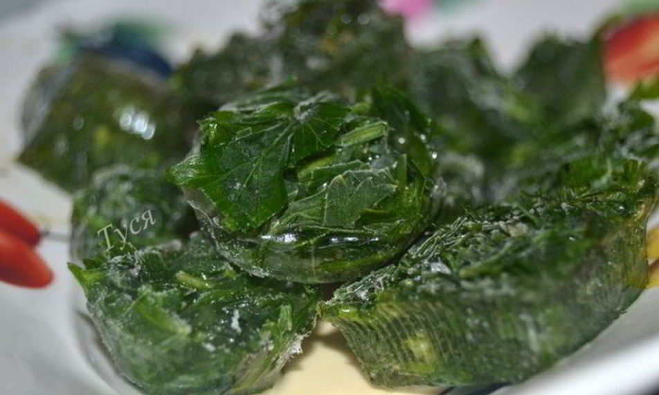 Рецепт заготовки зелени на зиму