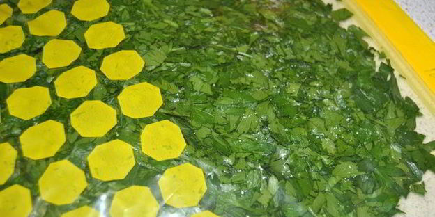 заготовка зелени на зиму