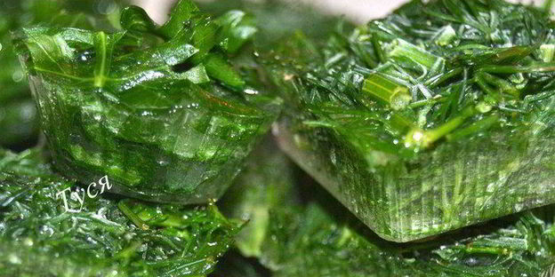 заготовка зелени на зиму