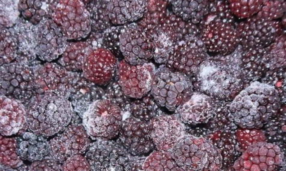 Рецепт заготовок иза ежевик