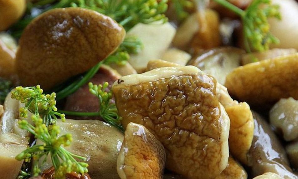 Рецепт засолки белых грибов на зиму