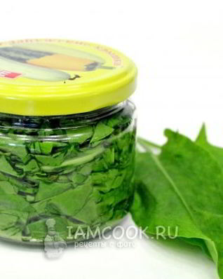 Засолка щавеля на зиму