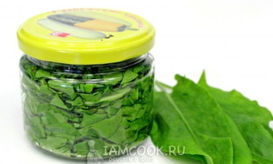 Рецепт засолки щавеля на зиму