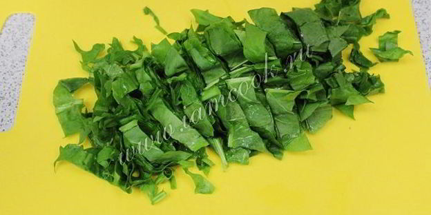 засолка щавеля на зиму