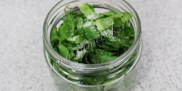 засолка щавеля на зиму