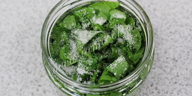 засолка щавеля на зиму