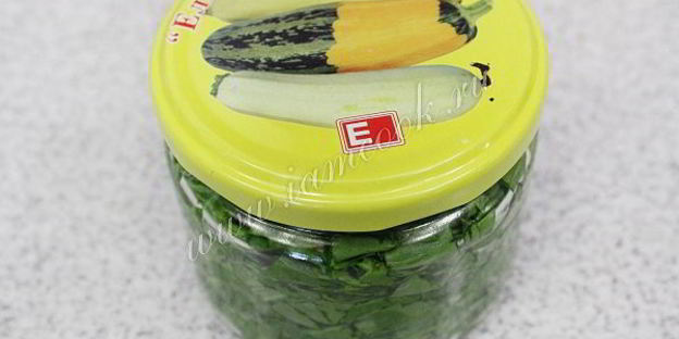 засолка щавеля на зиму