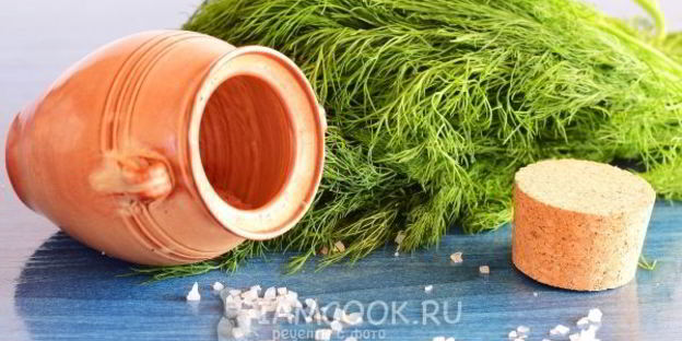 засолка укропа на зиму