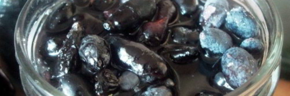 Жимолость на зиму