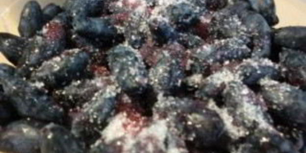 жимолость на зиму