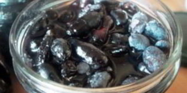 жимолость на зиму