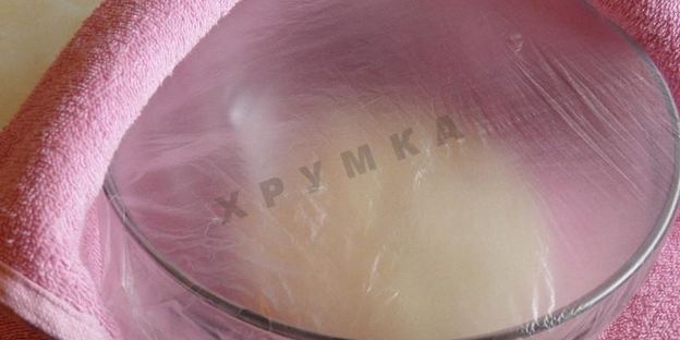 беляши с сухими дрожжами на воде