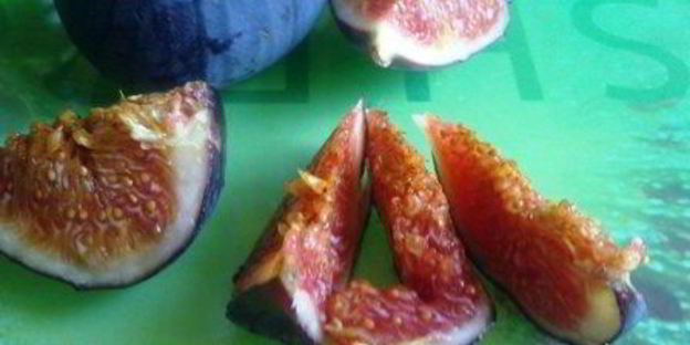 брускетта с инжиром и пармской ветчиной