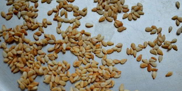 брускетта с рыбой, творогом и кабачком