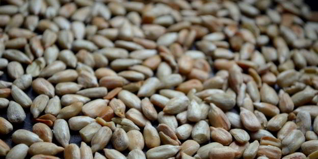 брускетта с запеченным корнем сельдерея и оливками