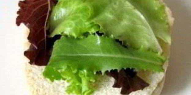 вегетарианский бургер