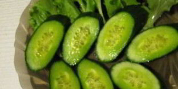 бутерброд с брынзой