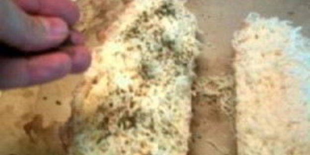 чесночно-сырный бутерброд