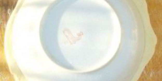 чебуреки с тыквой