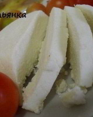 Домашний сыр Панир