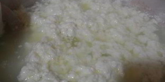 домашний сыр панир