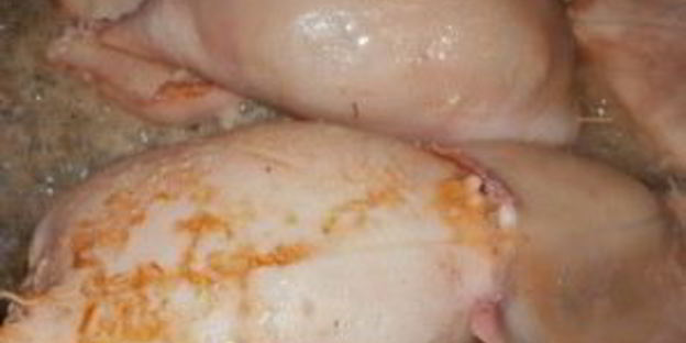 фаршированные кальмары с рисом и яйцом