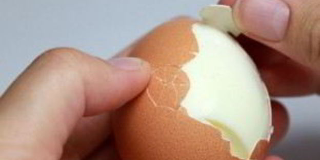 яйца, фаршированные горчицей